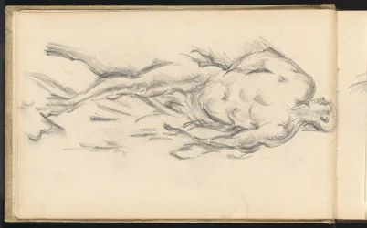Studie van Puget
