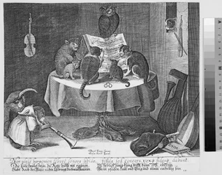 Concert van uil, katten en apen