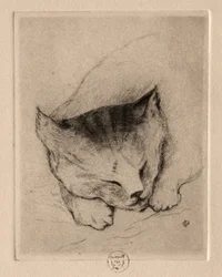 Zes Etsen: Hoofd van een Kitten