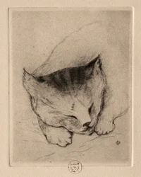 Zes Etsen: Hoofd van een Kitten, 1895
