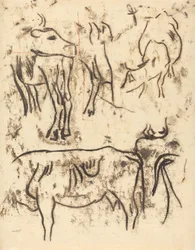 Dierstudies, 1901-1902