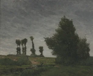Landschap met populieren