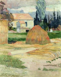 Landschap bij Arles
