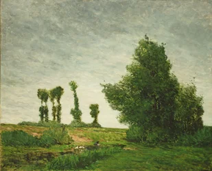 Landschap met Populieren