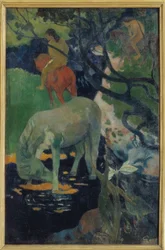 Het witte paard