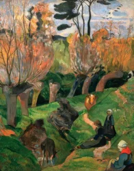 De wilgen