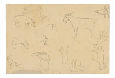 Schetsen van verschillende dieren en hoofd (recto), schetsen van een hoofd, figuur in profiel, anatomische details en dieren (verso)