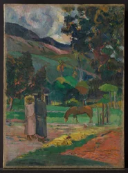 Tahitiaans landschap