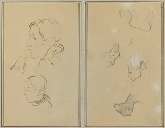 Twee hoofden; studies van schapen