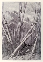 Gulliver ziet landarbeiders zo hoog als kerktorens en verstopt zich in een tarweveld, uit de Franse editie van Gullivers Reizen door Jonathan Swift