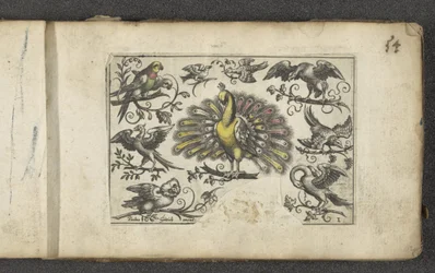 Pauw en andere vogels, Vogels (serietitel)