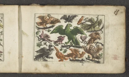 Roofvogel, elf andere vogels en een vleermuis