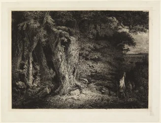 Ingang tot het bos, of Het struikgewas