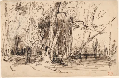 Overstroming in het bos van het Île Séguin