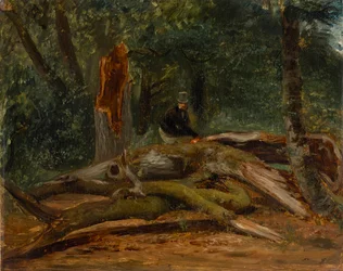 In het bos