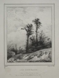 Landschappen: Jonge Iepenbomen