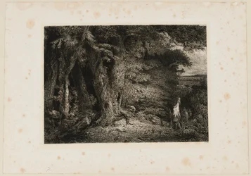De ingang van het bos. Beraldi 74
