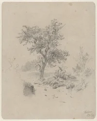 Landschap met eik