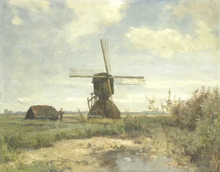 Zonnige dag