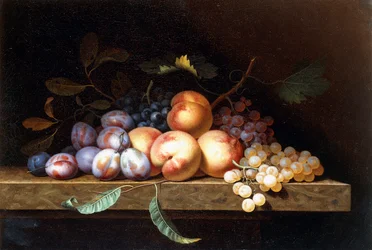 Perziken, pruimen en druiven op een stenen rand