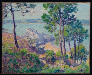 Aan de kust