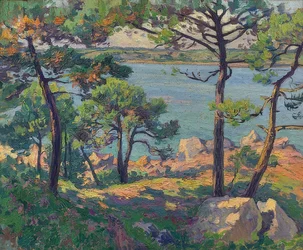 Pijnbomen aan de Trieux-rivier