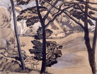 Rand van het bos