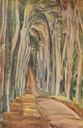 Savernake Forest
