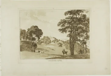 Kasteel Denefawr, plaat elf uit Twelve Views in Wales