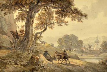 Landschap