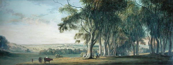 Uitzicht op Windsor, vanaf Snow Hill in het Grote Park