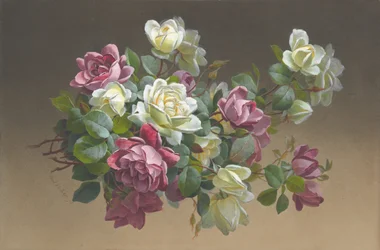 Bloemen: Rozen