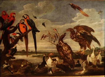Verscheidenheid aan vogels