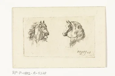 Twee paardenkoppen