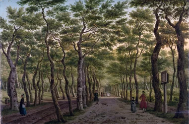 Het Herepad in het Haagse Bos
