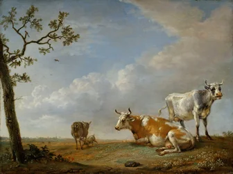 Rustende dieren in de weide