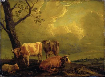 Runderen en schapen