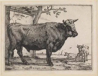 De stier