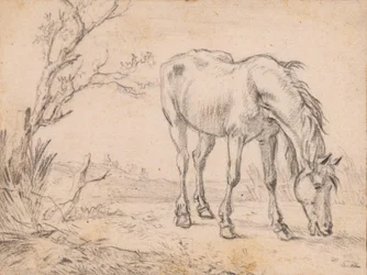 Een grazend paard