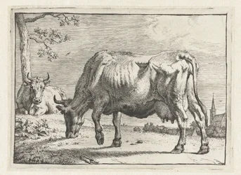 Grazende koe Het Bullenboekje (serie titel)