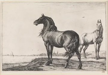 Hinnikend paard