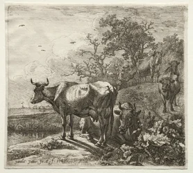De koeherder