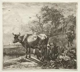 De koeherder