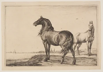 Het gecoupeerde paard, uit de serie paarden