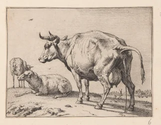 De Pissende Koe, van Diverse Ossen en Koeien