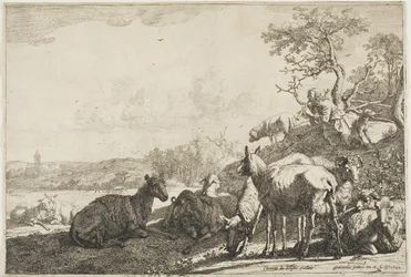 De herder