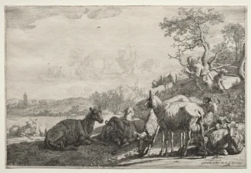 De herder