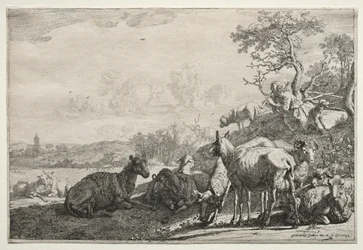 De Herder, 1644