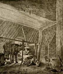 De kalvende koe