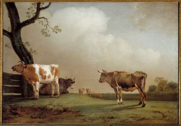 De weide